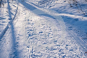 Winding forest road, ski, human footprints and car tyre tracks, snow macro after snowfall, winter sunrise, long deep tree shadow