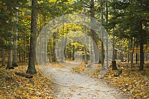 Winding Forest Trail at Potawatomi State Park