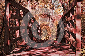 Winding forest wooden path walkway through wetlands, ontario, canada, crawford lake, autumn fall