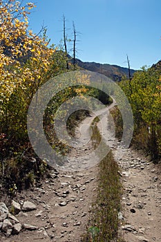 Winding four wheel drive road [Medano Pass primitive road] through the Sangre De Cristo range of the Rocky Mountains in Colorado