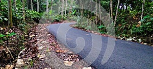 a winding and freshly paved country road with dry leaves on the sides