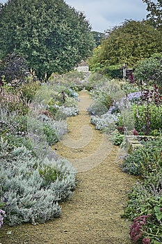 A winding garden path through flower borders