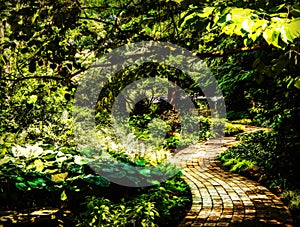 Winding Garden Path