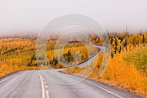 Winding golden fall taiga road Yukon Canada