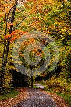 Winding Gravel Back Road - Autumn / Fall Scenery - West Virginia