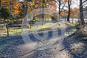 Winding gravel road in autumn