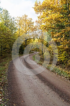 Winding gravel road in fall season colors