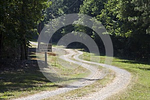 Winding gravel road through lush green trees.