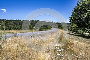 Winding highway through the summer meadows is lost on the horizon in the forest on the hills