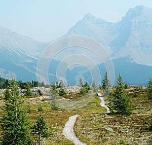 Winding hiking trail in sunshine meadows