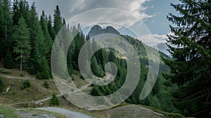 A winding mountain path through a dense pine forest with dramatic clouds
