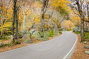 Winding Mountain Road