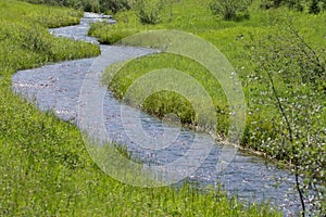 Winding mountain stream