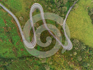 Winding narrow road on a hill in Burren, Ireland. Aerial drone view. Green fields and small trees around the pass