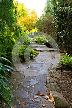 Winding path