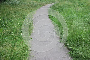 Winding Path in a green garden. Summer landscape