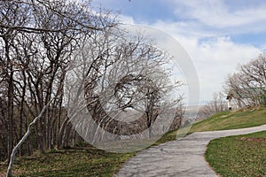 A winding path and leafless gnarly trees