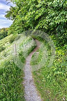 Winding path in the mountainous area