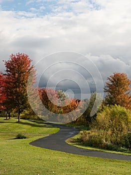 Winding path in a park under cloudy sky