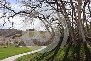 A winding path past twisted gnarly trees with a mansion on the hills in the background