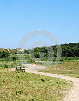A winding path through sand dunes and grass on the merseyside coast near formby