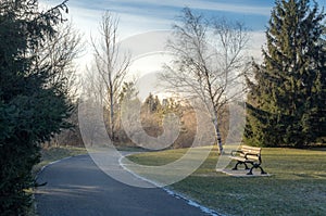 A winding path in a winter park, with the light of the sunset casting shadows on the branches of the trees