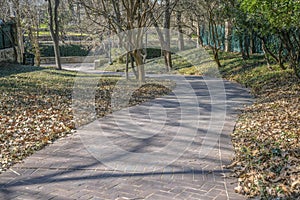 Winding paved walkway in San Antonio Texas amidst ground covered with leaves