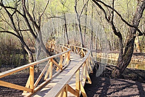 Winding pedestrian wooden bridge in park in photo