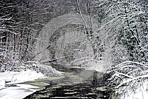 Winding River in Winter