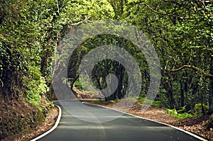 Winding road