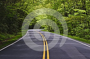 Winding road photo