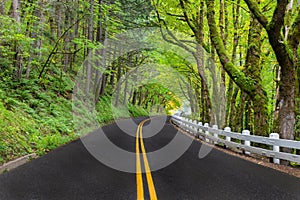 A winding road along the Columbia River Scenic Byway with the classic white fencing in Oregon