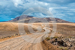 Winding Road in Arid Landscape on Lanzarote