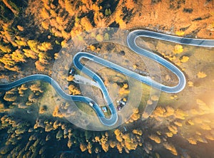 Winding road in autumn forest at sunset in mountains. Aerial view