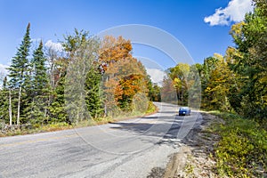 Winding Road in Autumn Lined with Fall Colour - Ontario, Canada