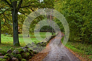 Winding road, autumn park scene