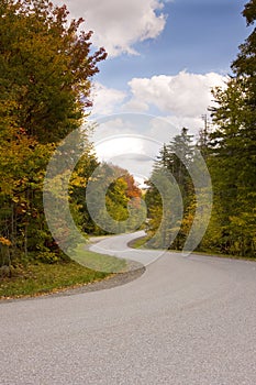 Winding Road During Autumn Season