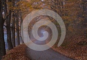 Winding road in autumn in Woodstock Vermont