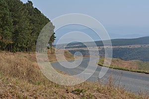 A winding road in the beautiful low veld.