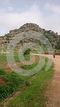 The winding road photo