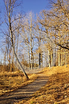 Winding road in Bjorno nature reserve, Stockholm - Sweden