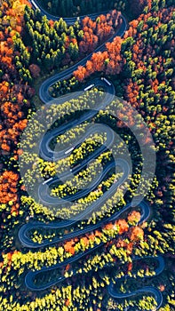 Winding road in Carpathian Mountains, Romania