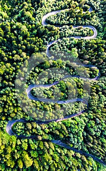 Winding road in Carpathian Mountains, Romania