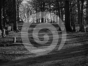 Winding Road Through A Cemetery