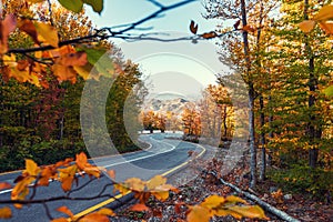 Winding road in colorful autumn mountain forest