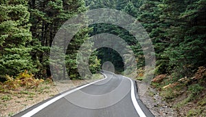 Winding road crossing fir forest. Greece, Arcadia countryside