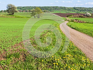 Winding road at a cultivated countryside