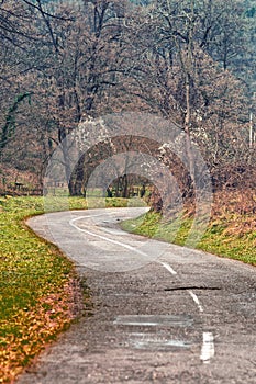 Winding road curves through autumn trees.