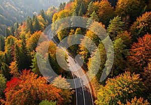 A vibrant range of colors, including deep reds, oranges, and