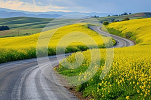 A winding road cuts through a vast field of vibrant yellow flowers, A winding road through bright yellow canola fields, AI